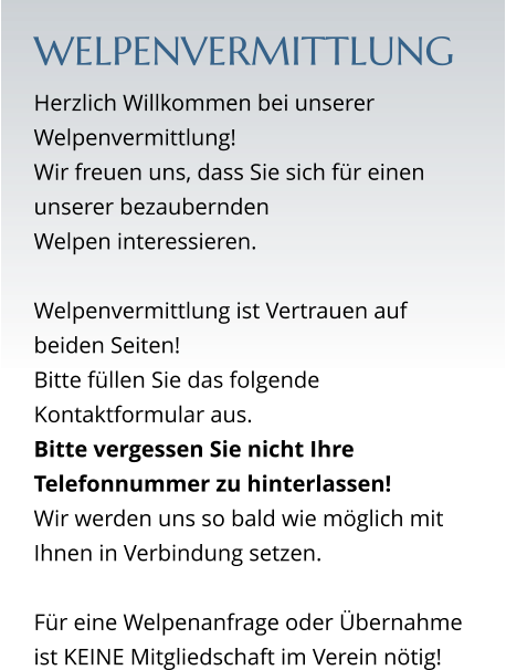 WELPENVERMITTLUNG Herzlich Willkommen bei unserer Welpenvermittlung!  Wir freuen uns, dass Sie sich für einen unserer bezaubernden  Welpen interessieren.   Welpenvermittlung ist Vertrauen auf beiden Seiten! Bitte füllen Sie das folgende Kontaktformular aus. Bitte vergessen Sie nicht Ihre Telefonnummer zu hinterlassen! Wir werden uns so bald wie möglich mit Ihnen in Verbindung setzen.  Für eine Welpenanfrage oder Übernahme ist KEINE Mitgliedschaft im Verein nötig!