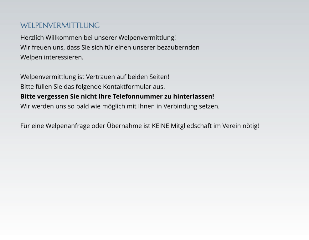 WELPENVERMITTLUNG Herzlich Willkommen bei unserer Welpenvermittlung!  Wir freuen uns, dass Sie sich für einen unserer bezaubernden  Welpen interessieren.   Welpenvermittlung ist Vertrauen auf beiden Seiten! Bitte füllen Sie das folgende Kontaktformular aus. Bitte vergessen Sie nicht Ihre Telefonnummer zu hinterlassen! Wir werden uns so bald wie möglich mit Ihnen in Verbindung setzen.  Für eine Welpenanfrage oder Übernahme ist KEINE Mitgliedschaft im Verein nötig!